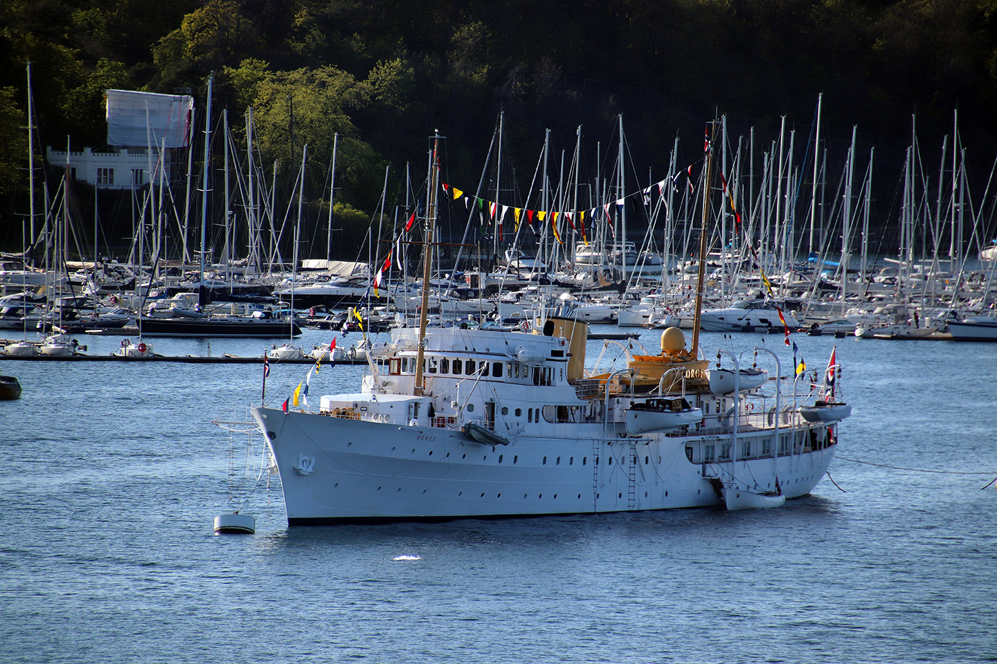 IMG_5549_1440x960