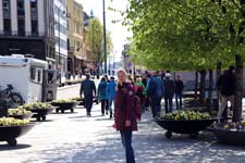 IMG_5276_1440x960