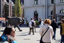 IMG_5350_1440x960