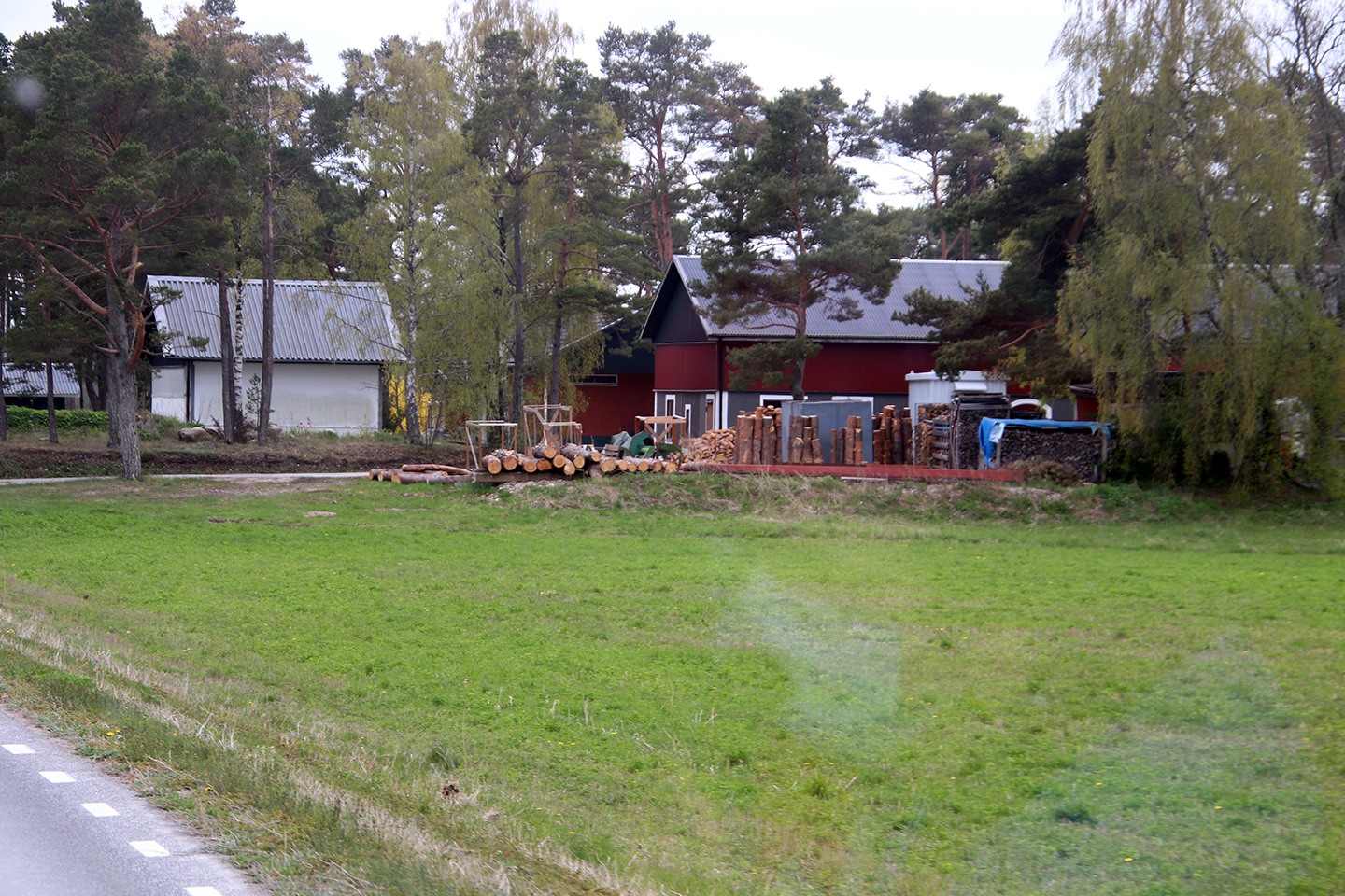 IMG_9464_1440x960